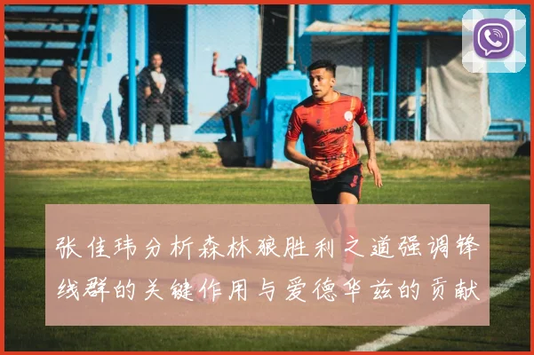 张佳玮分析森林狼胜利之道强调锋线群的关键作用与爱德华兹的贡献