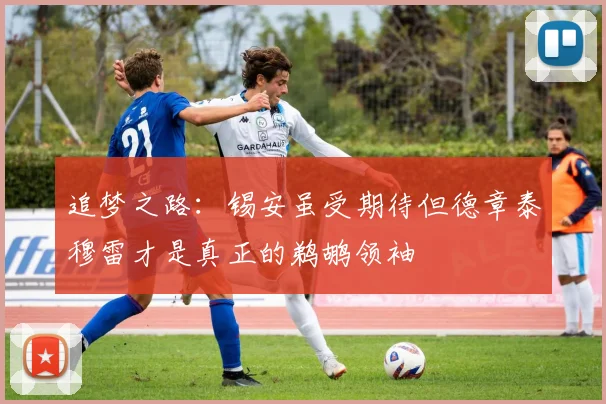 追梦之路：锡安虽受期待但德章泰穆雷才是真正的鹈鹕领袖