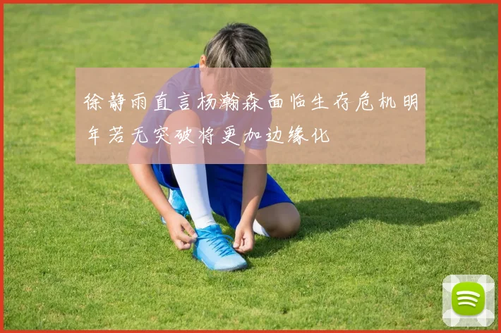 徐静雨直言杨瀚森面临生存危机明年若无突破将更加边缘化
