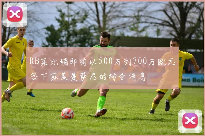 RB莱比锡即将以500万到700万欧元签下苏莱曼萨尼的转会消息