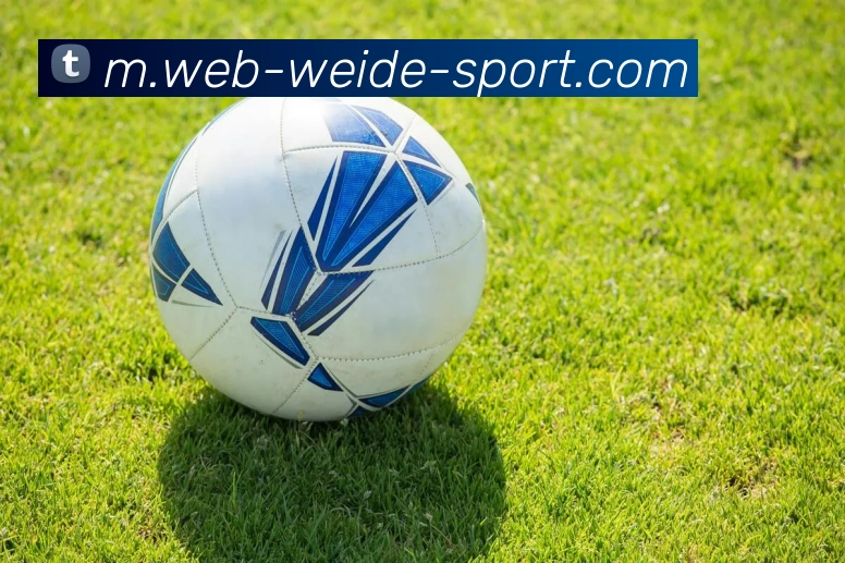 伟德体育平台生态图