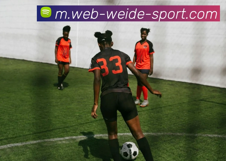 伟德体育APP 封面图